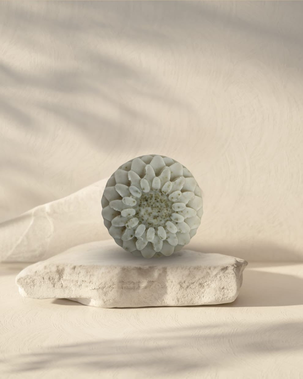Organic Sidr Leaf Shampoo + Body Bar