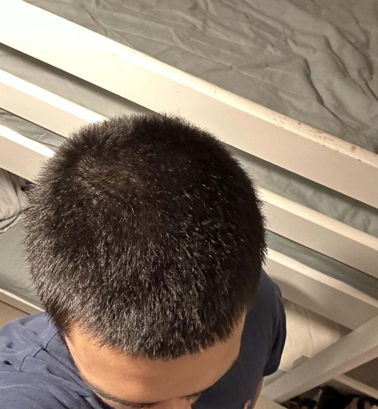 Original Sidr Leaf Shampoo Bar with Olive ~ Tackles Dandruff